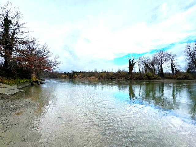 An der Reuss soll wieder eine Auenlandschaft entstehen.