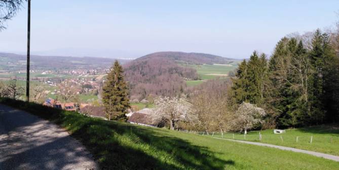 Vom Schlossfelsen bietet sich ein weiter Ausblick nach Norden in den Sundgau. Foto: Archäologie Baselland.