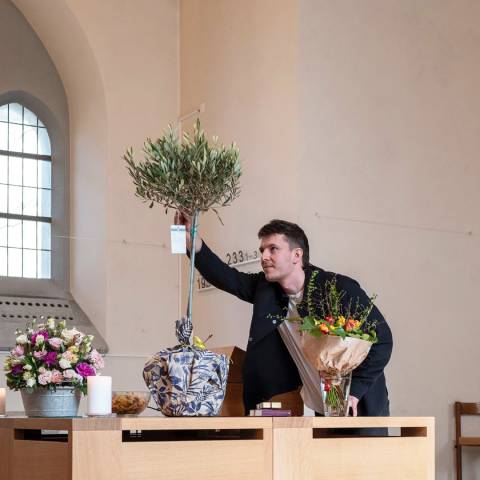  Jonas Meier setzt die Gummibärenschlange in den Olivenbaum. Foto: Klaus-Christian Hirte