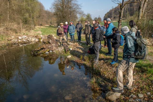 Biologe Noah Meier führt die Teilnehmenden durch die Flussaue Magdenerbach und zeigt deren Naturwerte auf. Foto: zVg