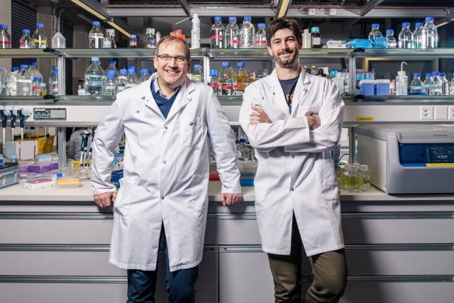 Jörg Standfuss (links) und Quentin Bertrand sind zwei der Forschenden am Zentrum für Life Sciences des PSI, die nun auf molekularer Ebene herausgefunden haben, warum ein lichtschaltbares Medikament seine Wirksamkeit ändert. Foto: © Paul Scherrer Institut PSI/Markus Fischer
