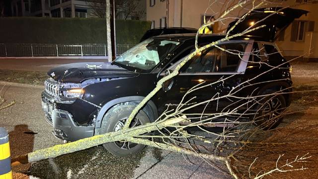 Foto: Polizei Aargau