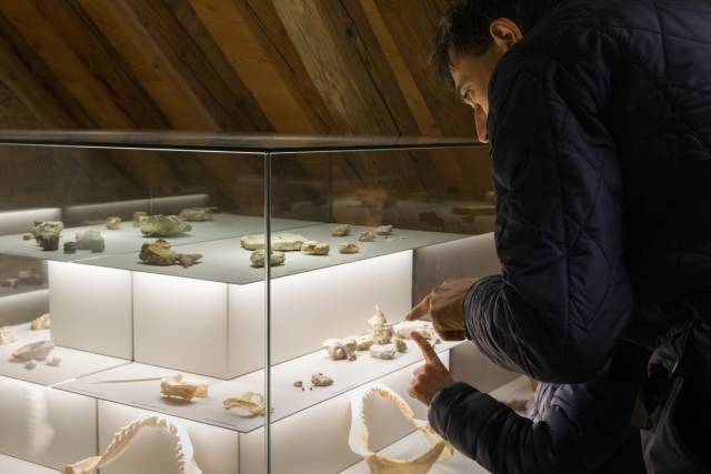 Der Internationale Museumstag 2026 und die Museen und Sammlungen im Aargau. Foto: zVg