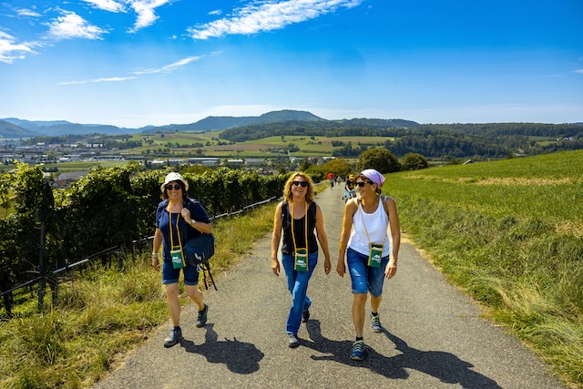 Auch die landschaftlichen Eindrücke kommen auf der Weinwanderung nicht zu kurz. Foto: © Vera Jantz