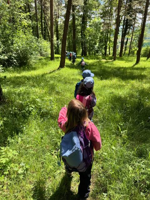 Impressionen von den Spielgruppenrreisen zum Willihof in Herznach. Foto: zVg