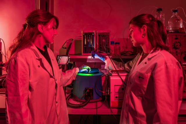 Arbeiten fernab vom Tageslicht: Um die Zapfenopsine nicht versehentlich zu aktivieren, führen die PSI-Forscherinnen Polina Isaikina (links) und Sarah L. Schmidt ihre Experimente unter schwachem rotem Licht durch. Mit einem grünen oder blauen Laser können sie diese Proteine gezielt aktivieren. © Paul Scherrer Institut PSI/Markus Fischer