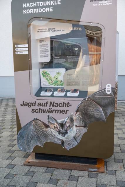 Das Modul Nachtdunkle Flugkorridore für Fledermäuse hat im Wegenstettertal eine herausragende Bedeutung.