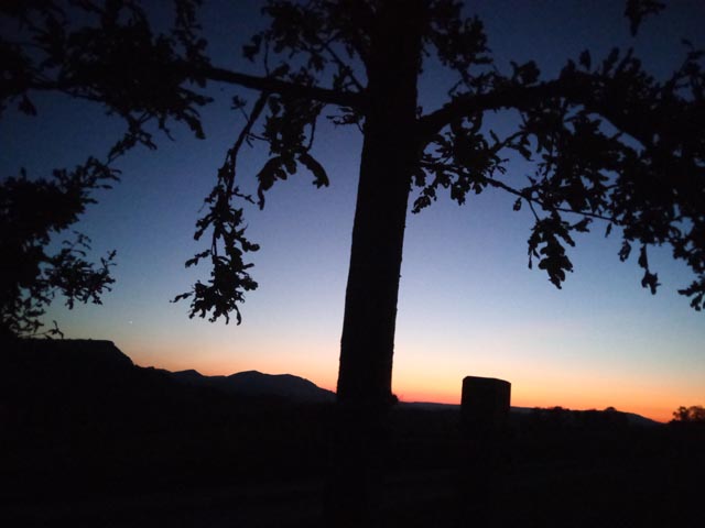 Bei der Perimuk-Nachtexkursion wird die Nacht zum Abenteuer. Foto: © Jurapark Aargau