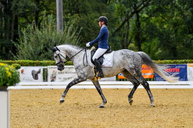 Im Haufgarten in Eiken fanden die 21. Dressurtage statt. Foto: zVg