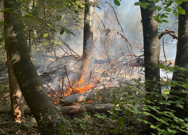 In einem Waldstück bei Eptingen kam es zu einem Brand.