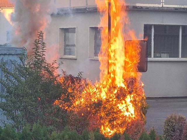 Ein Heckenbrand in Wohlen richtete nicht unerheblichen Sachschaden an.