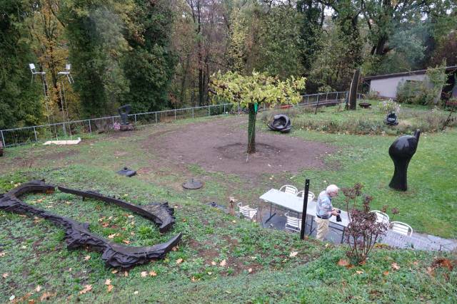 Blick in den neu gestalteten Skulpturengarten mit dem frisch gepflanzten Maulbeerbaum in der Mitte des Bildes. Foto: Peter Schütz