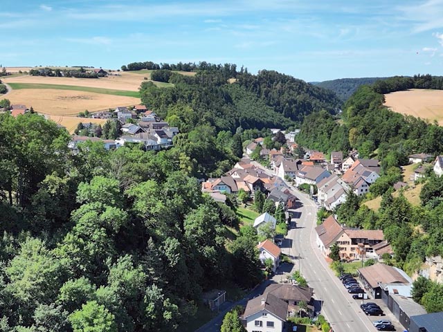 Die Wälder an den Hängen des Homburgertals schützen Strasse, Bahnlinie und Siedlungsgebiet vor Steinschlägen und Hangrutschen. Foto © Museum.BL